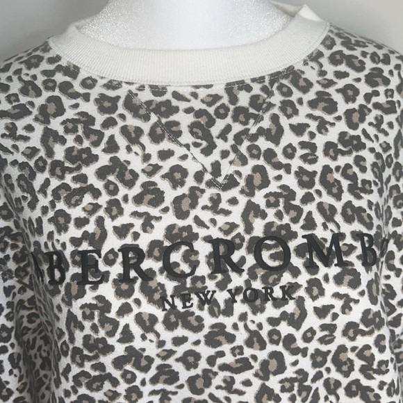 Abercrombie & Fitch Cheetah Logo Sweatshirt Size Small - Picture 3 of 8